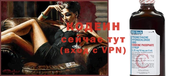 ALPHA PVP Ельня