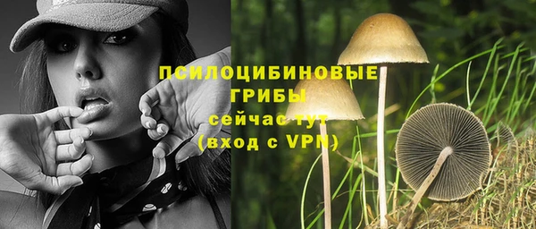 эйфоретик Елизово