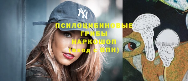 эйфоретик Елизово